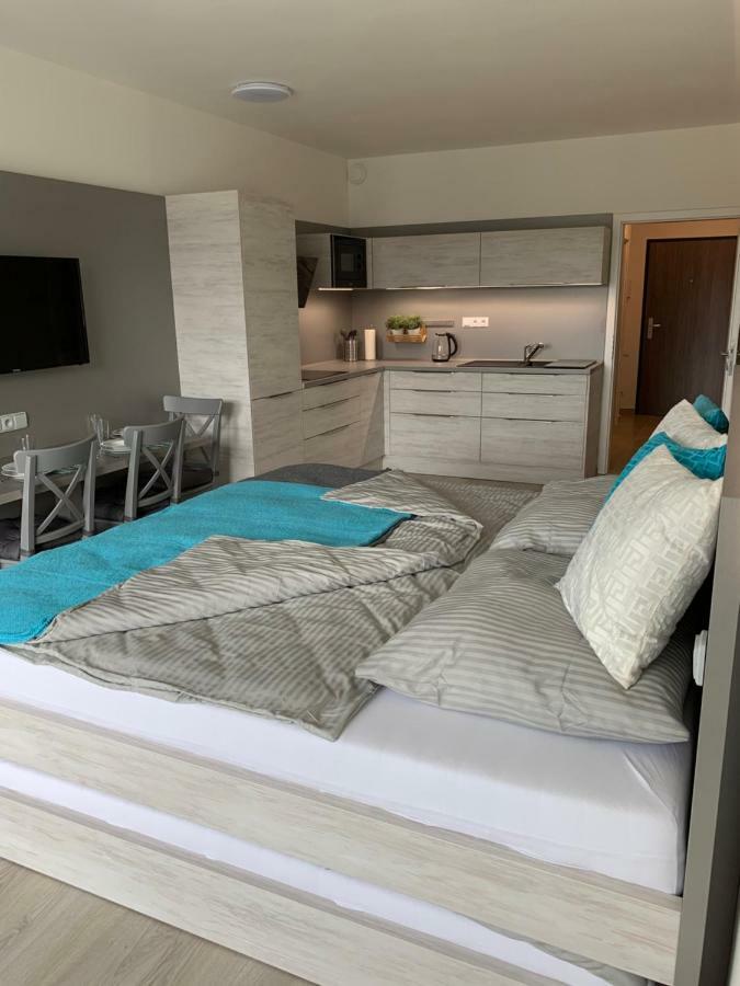Apartman Denisa Lipno nad Vltavou Eksteriør bilde