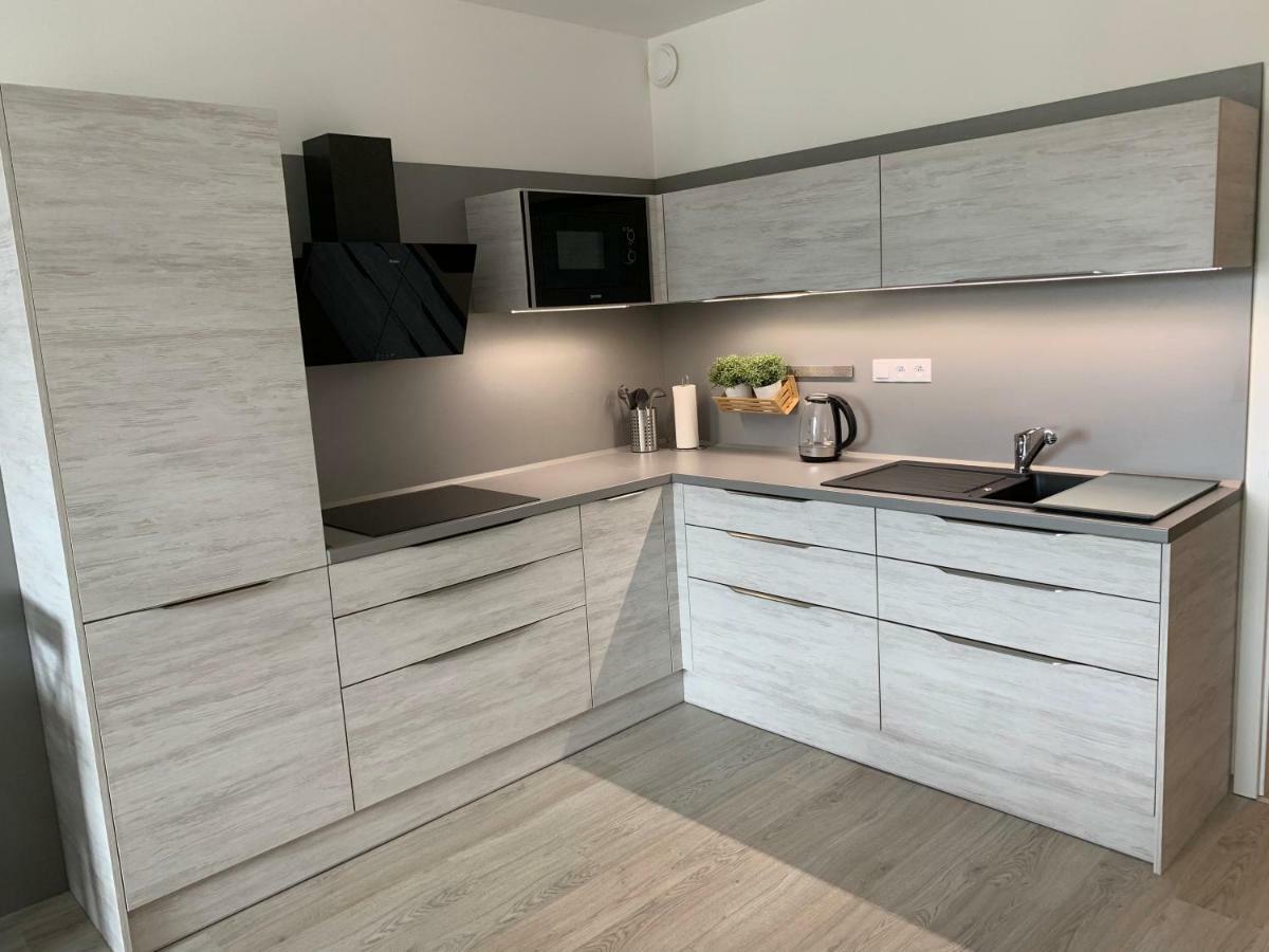 Apartman Denisa Lipno nad Vltavou Eksteriør bilde